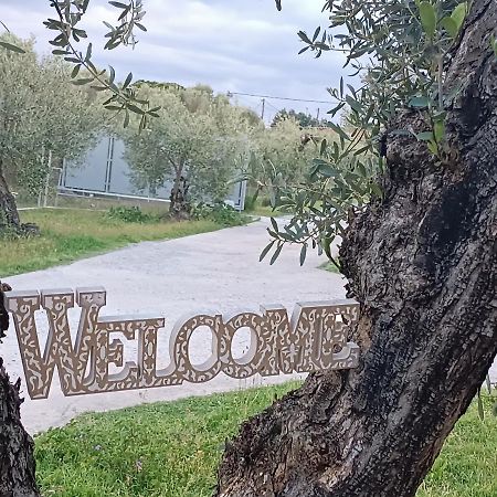 The Secret Olive House Βίλα Νέα Μηχανιώνα Εξωτερικό φωτογραφία